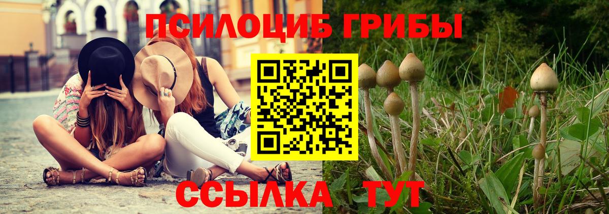 Ульяновск  Псилоцибиновые грибы MAGIC MUSHROOMS  Вход с VPN 