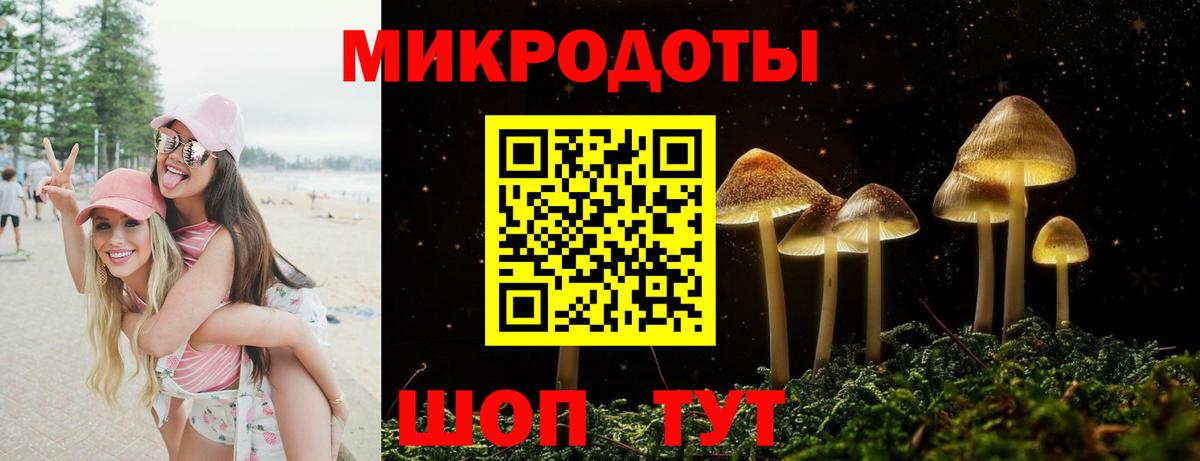 Псилоцибиновые грибы GOLDEN TEACHER Ульяновск